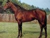 stallion Cavo Doro xx (Thoroughbred, 1970, from Sir Ivor xx)