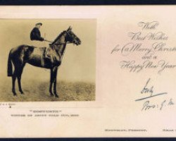 stallion Bosworth xx (Thoroughbred, 1926, from Son In Law xx)