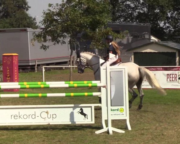 Reitturnier Kellinghusen 2019
