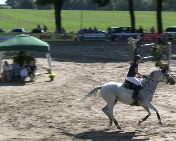 Reitturnier Recklinghausen 2019