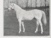 stallion Le Samaritain xx (Thoroughbred, 1895, from Le Sancy xx)