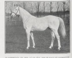 stallion Le Samaritain xx (Thoroughbred, 1895, from Le Sancy xx)