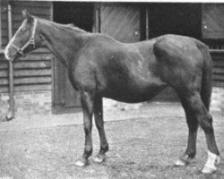 broodmare Isabel xx (Thoroughbred, 1879, from Plebeian xx)