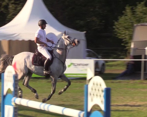 Reitturnier Kellinghusen 2019