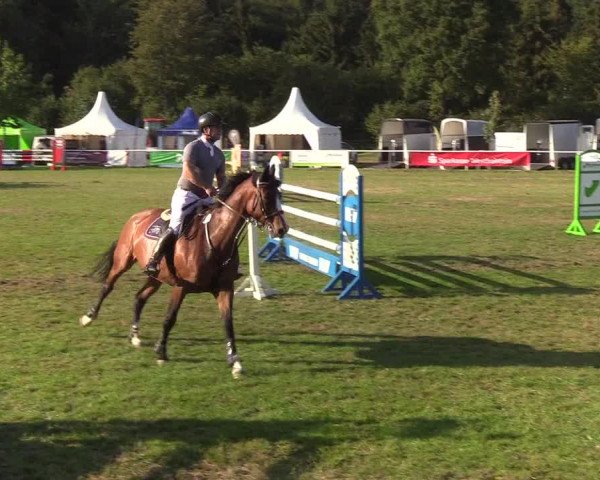 Reitturnier Kellinghusen 2019
