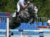 stallion Corrado Boy (Oldenburg show jumper, 2003, from Corrado I)