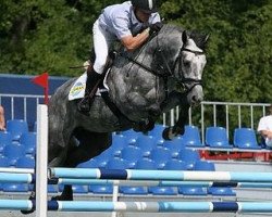 stallion Corrado Boy (Oldenburg show jumper, 2003, from Corrado I)