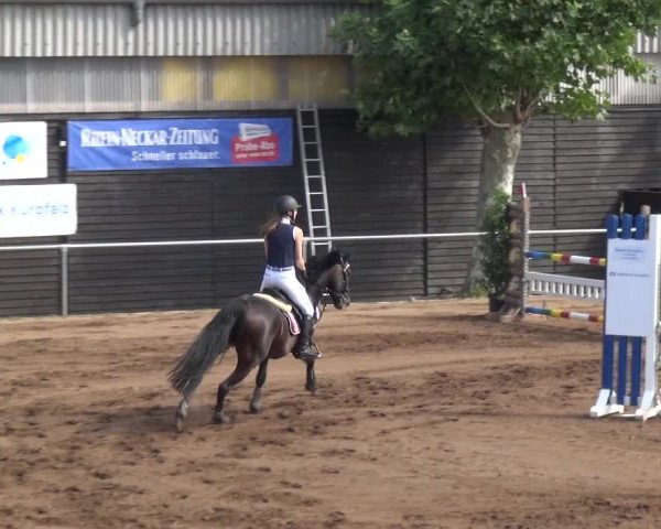 Reitturnier Heidelberg-Kirchheim 2019