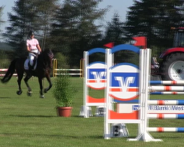 Reitturnier Löwenstedt 2019