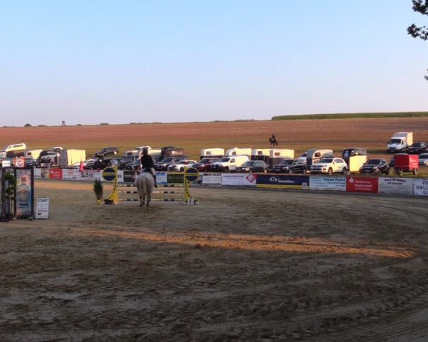 Reitturnier Duderstadt 2019