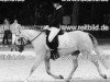 dressage horse Mary Poppins 72 (German Riding Pony, 2004, from Eiluns Monopoly)