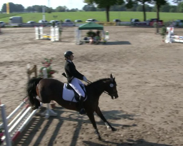 Reitturnier Recklinghausen 2019