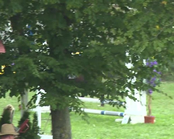 Landesponyturnier Ansbach 2019