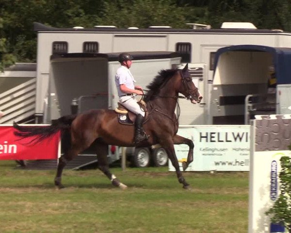 Reitturnier Kellinghusen 2019