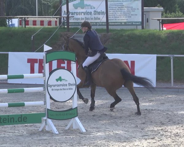 Reitturnier Durmersheim-Hardt 2019