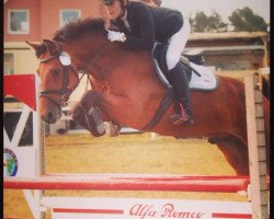 dressage horse Alyon (Hanoverian, 2007, from Abke 4)