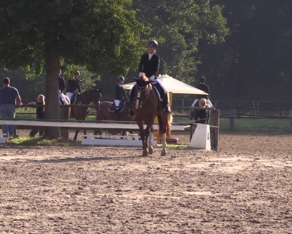 Reitturnier Recklinghausen 2019