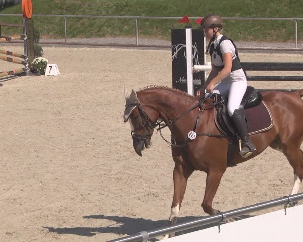 Reitturnier Durmersheim-Hardt 2019