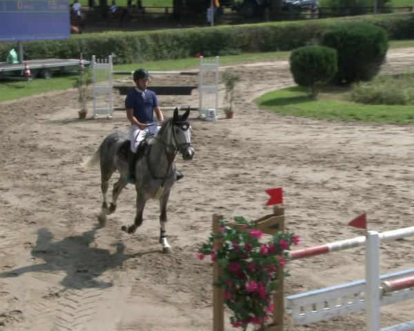 Reitturnier Recklinghausen 2019