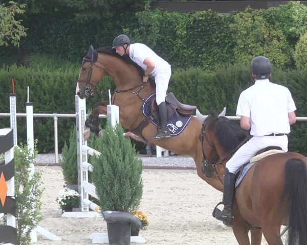 Reitturnier Durmersheim-Hardt 2019