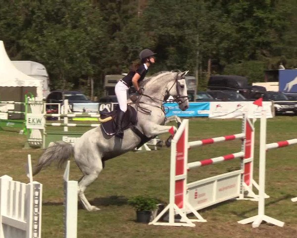 Reitturnier Kellinghusen 2019