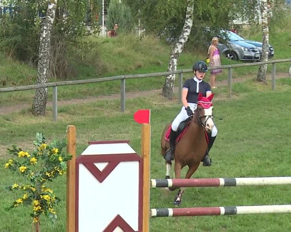 Landesponyturnier Ansbach 2019