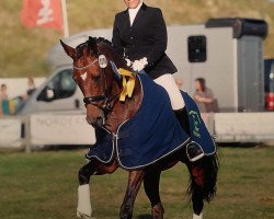 dressage horse Fleur de Lys 15 (Westfale, 2003, from Florestan I)