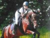 jumper Magic Joe (German Riding Pony, 2001)