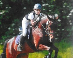 jumper Magic Joe (German Riding Pony, 2001)