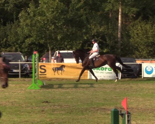 Reitturnier Kellinghusen 2019