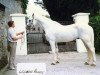 Deckhengst Legaun Prince (Irish Draught Horse, 1970, von Milestone)