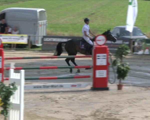 Reitturnier Recklinghausen 2019