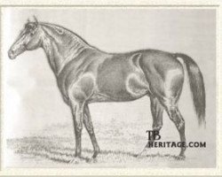 stallion Alarm xx (Thoroughbred, 1869, from Eclipse xx)