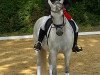 dressage horse Hesselteichs Dancing Diamond (German Riding Pony, 2007, from Dressman II)