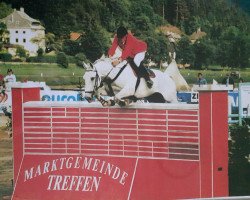 Pferd Hofgut Albfhüren's Caro Ass (Hessisches Warmblut, 1988, von Calderon)