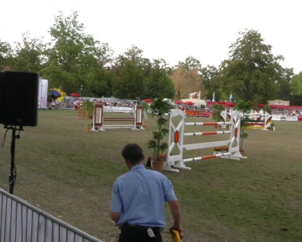 Reitturnier Aschersleben 2019