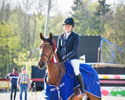 jumper Firefly H (KWPN (Royal Dutch Sporthorse), 2010, from Douglas)