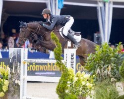 jumper Fernando V (KWPN (Royal Dutch Sporthorse), 2010, from Zapatero VDL)