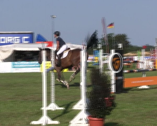 Reitturnier Löwenstedt 2019
