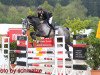 jumper Clintall (Oldenburg show jumper, 2011, from Clinton I)