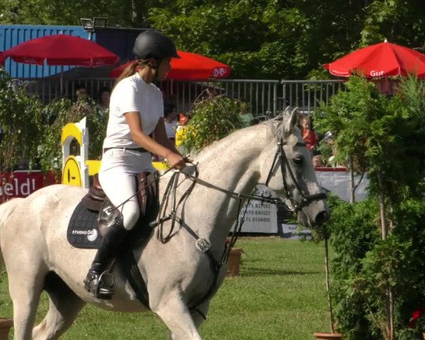 Reitturnier Aschersleben 2019