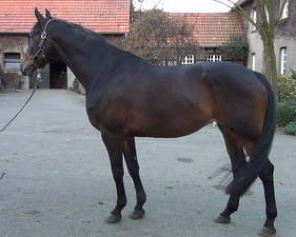 dressage horse Fleur du Soleil 3 (Westphalian, 2007, from Florestan I)