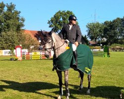 broodmare Chimaira (Oldenburg show jumper, 2012, from Cellestial)