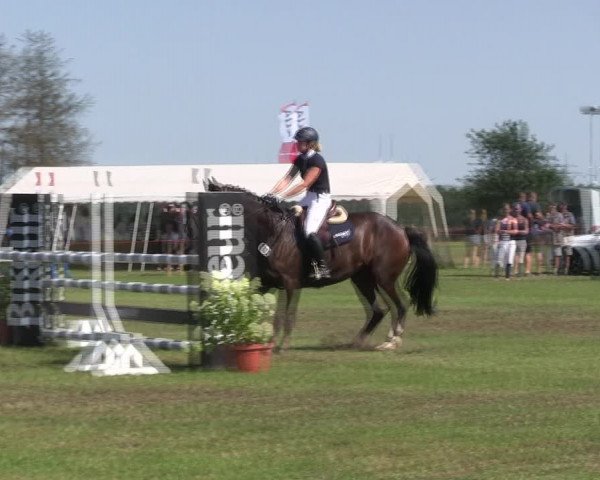 Reitturnier Löwenstedt 2019