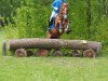 dressage horse Cindy 887 (German Riding Pony, 2006)