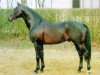 stallion Sir Lui (Oldenburg, 1993, from Silvio I)