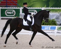 stallion Chopin III (Austrian Warmblood, 2003, from Contendro I)