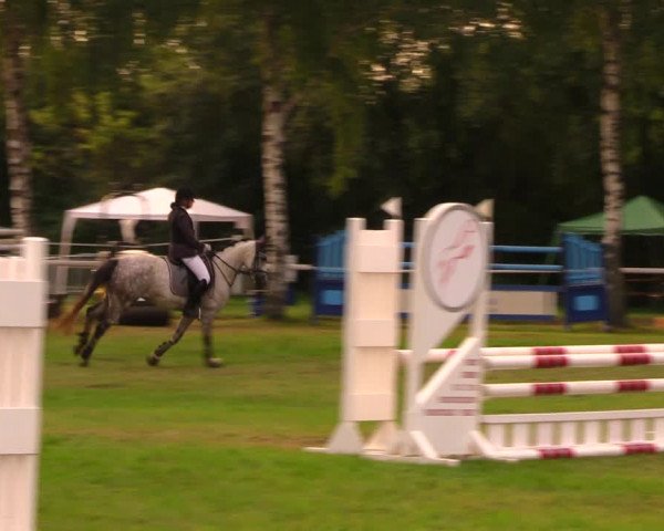 Reitturnier Berlin-Malchow 2019