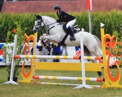 jumper Elin's Waikiki (German Riding Pony, 2008, from Windgold x)