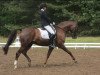 dressage horse Roseon (Hanoverian, 2008, from Rosentau)